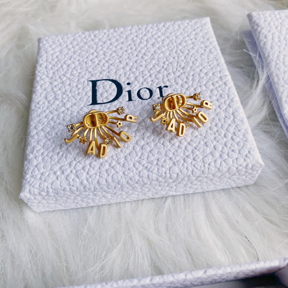 A404 Dior earring 103722
