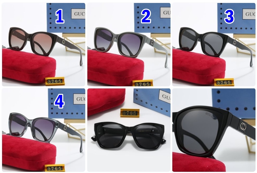 Gucci sunglasses 3765