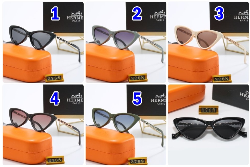 Hermes sunglasses 3768