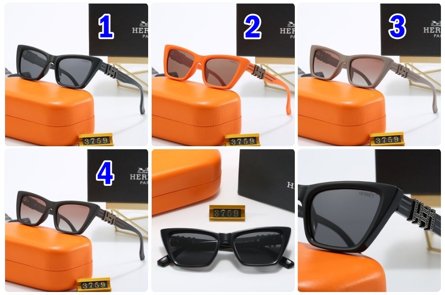 Hermes sunglasses 3759