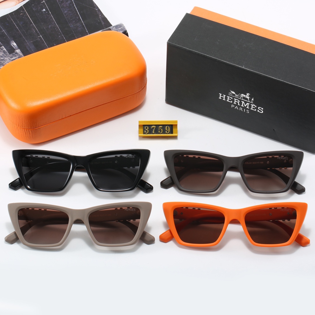 Hermes sunglasses 3759