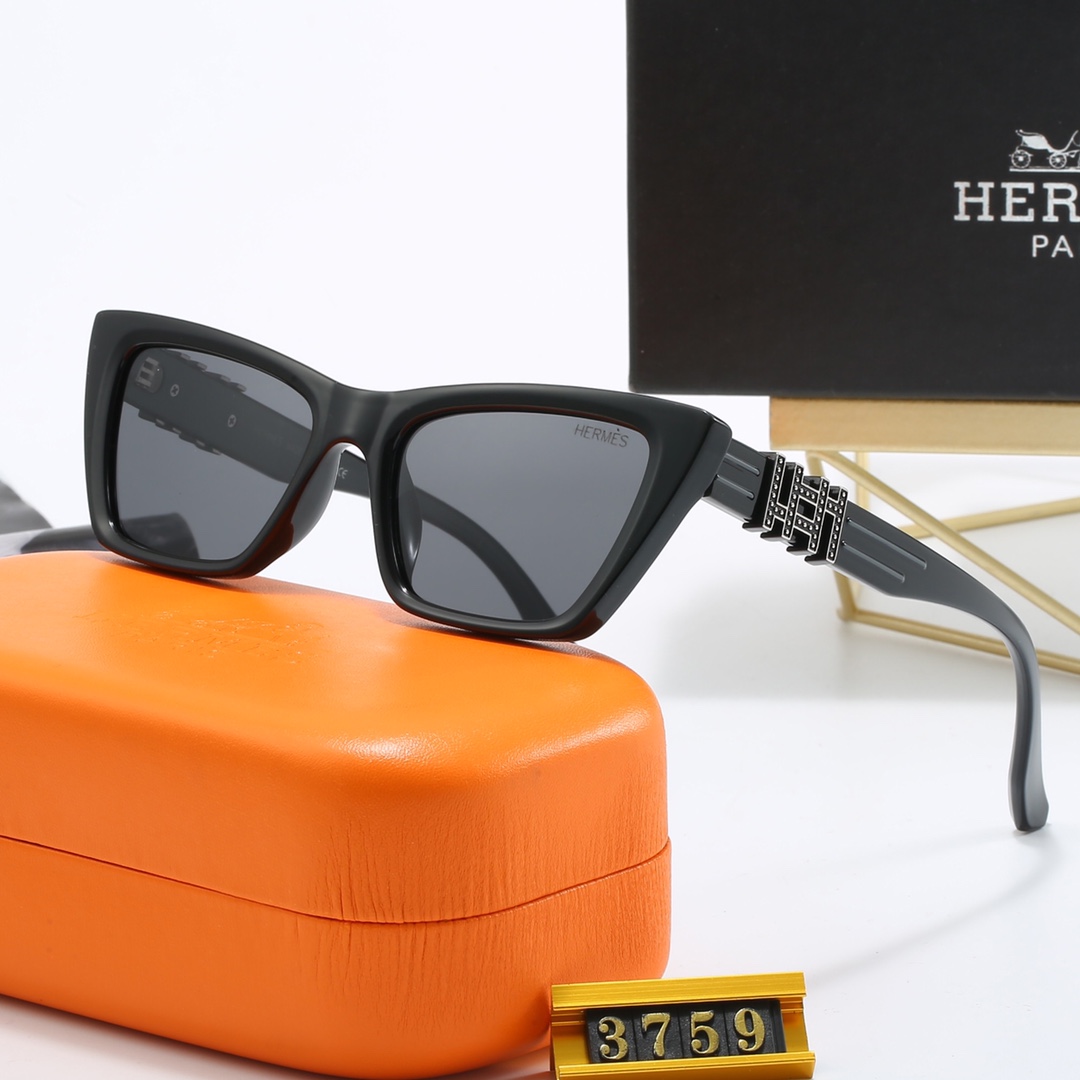 Hermes sunglasses 3759