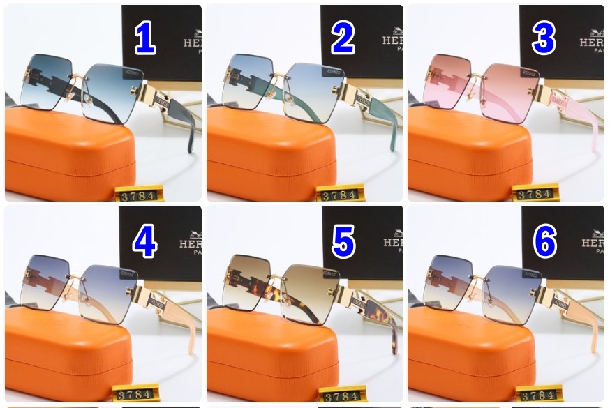 Hermes sunglasses 3784