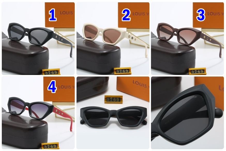 LV Louis vuitton sunglasses 3769