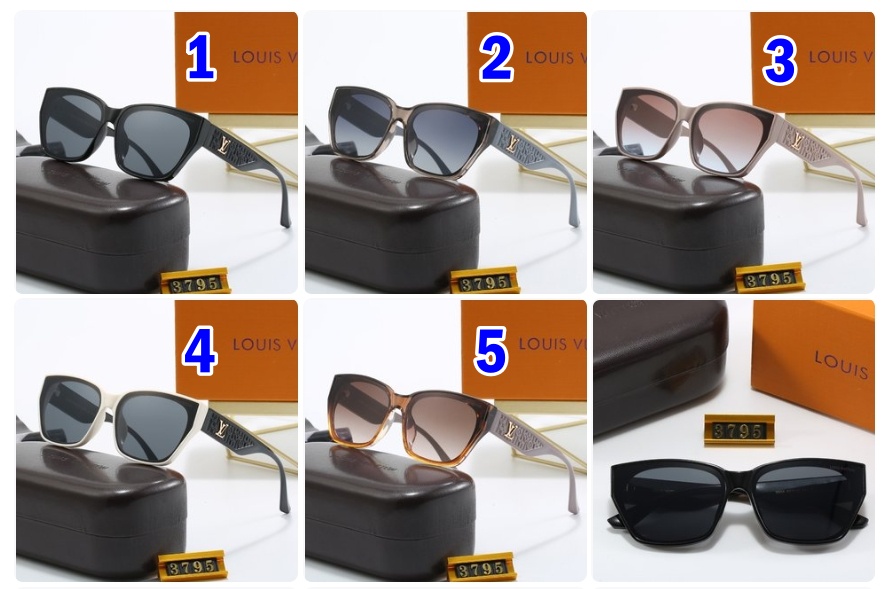 LV Louis vuitton sunglasses 3795