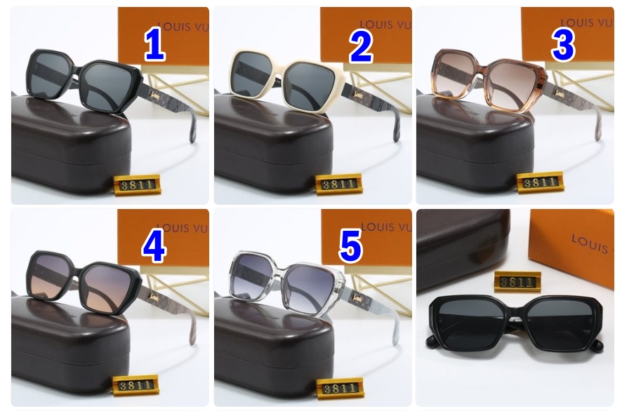 LV Louis vuitton sunglasses 3811