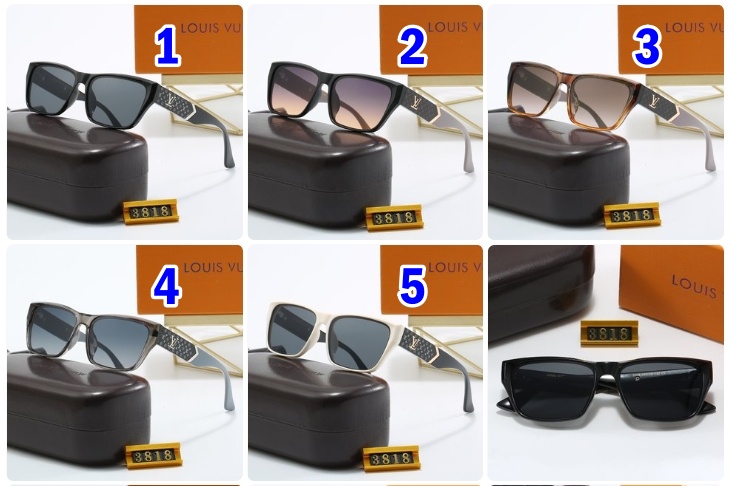 LV Louis vuitton sunglasses 3818