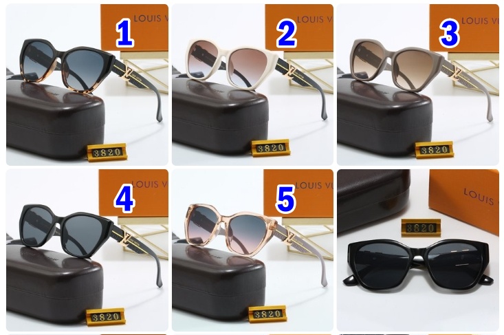 LV Louis vuitton sunglasses 3820