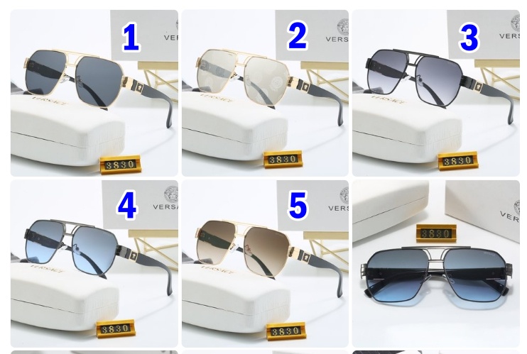 Versace sunglasses 3830