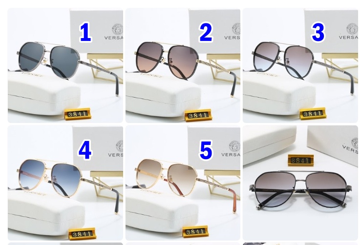 Versace sunglasses 3841