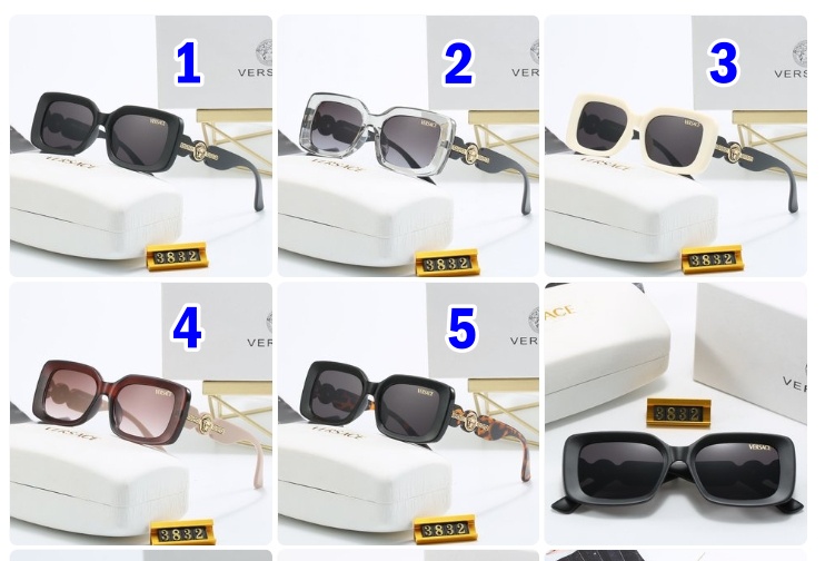 Versace sunglasses 3832