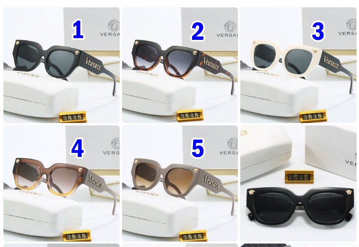 Versace sunglasses 3838