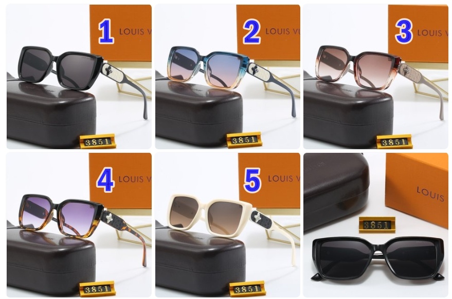 LV Louis vuitton sunglasses 3851