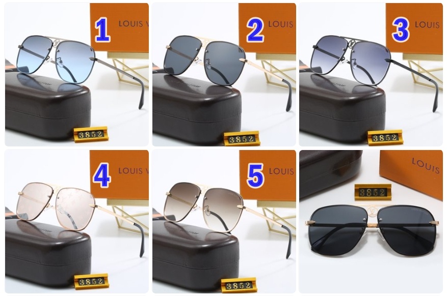 LV Louis vuitton sunglasses 3852