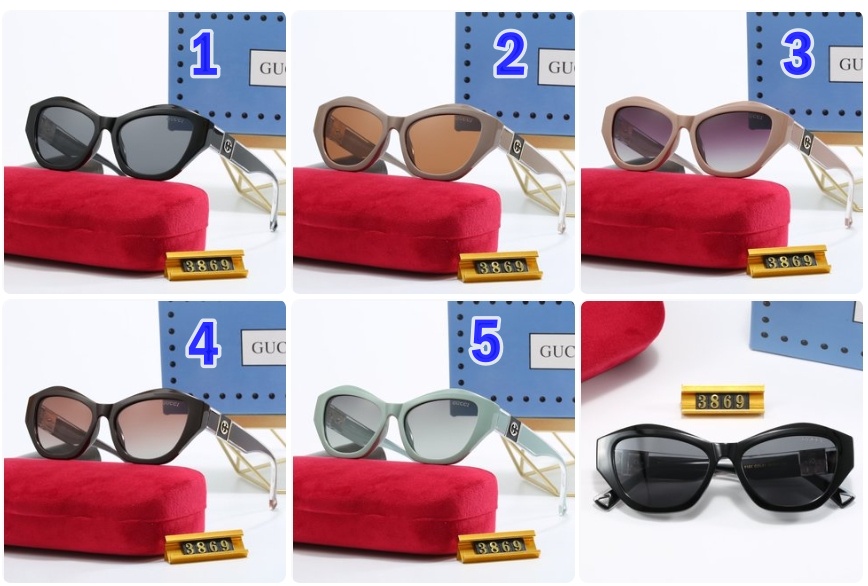 Gucci sunglasses 3869