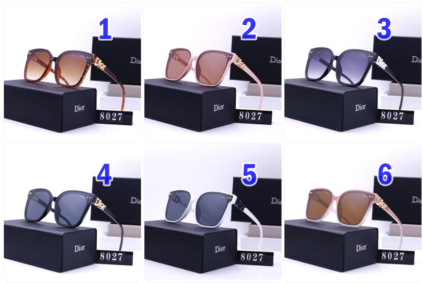 Dior sunglasses 8027