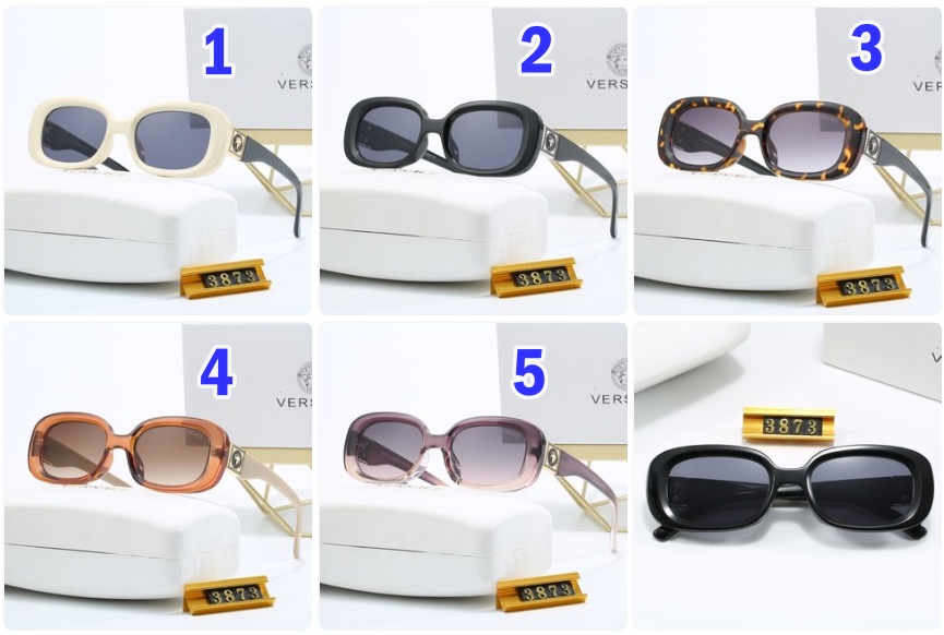 Versace sunglasses 3873