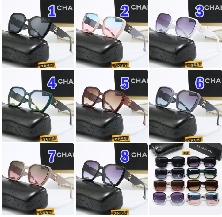 Chanel sunglasses 3865