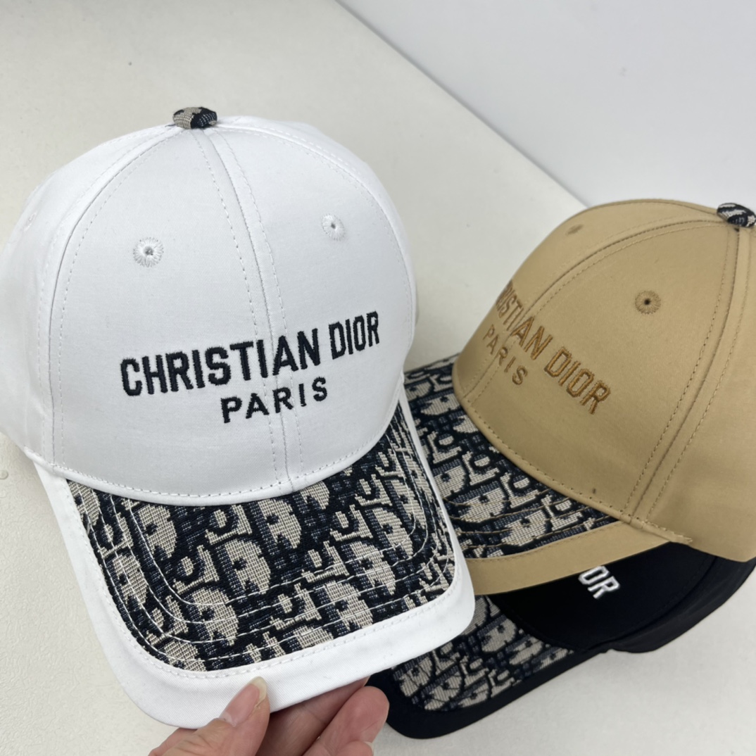 Dior embroidery DD cap