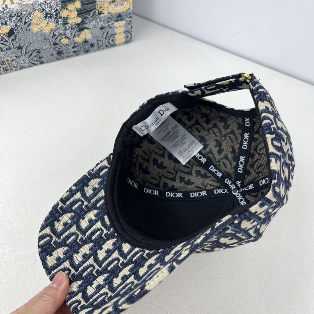 Dior embroidery DD cap