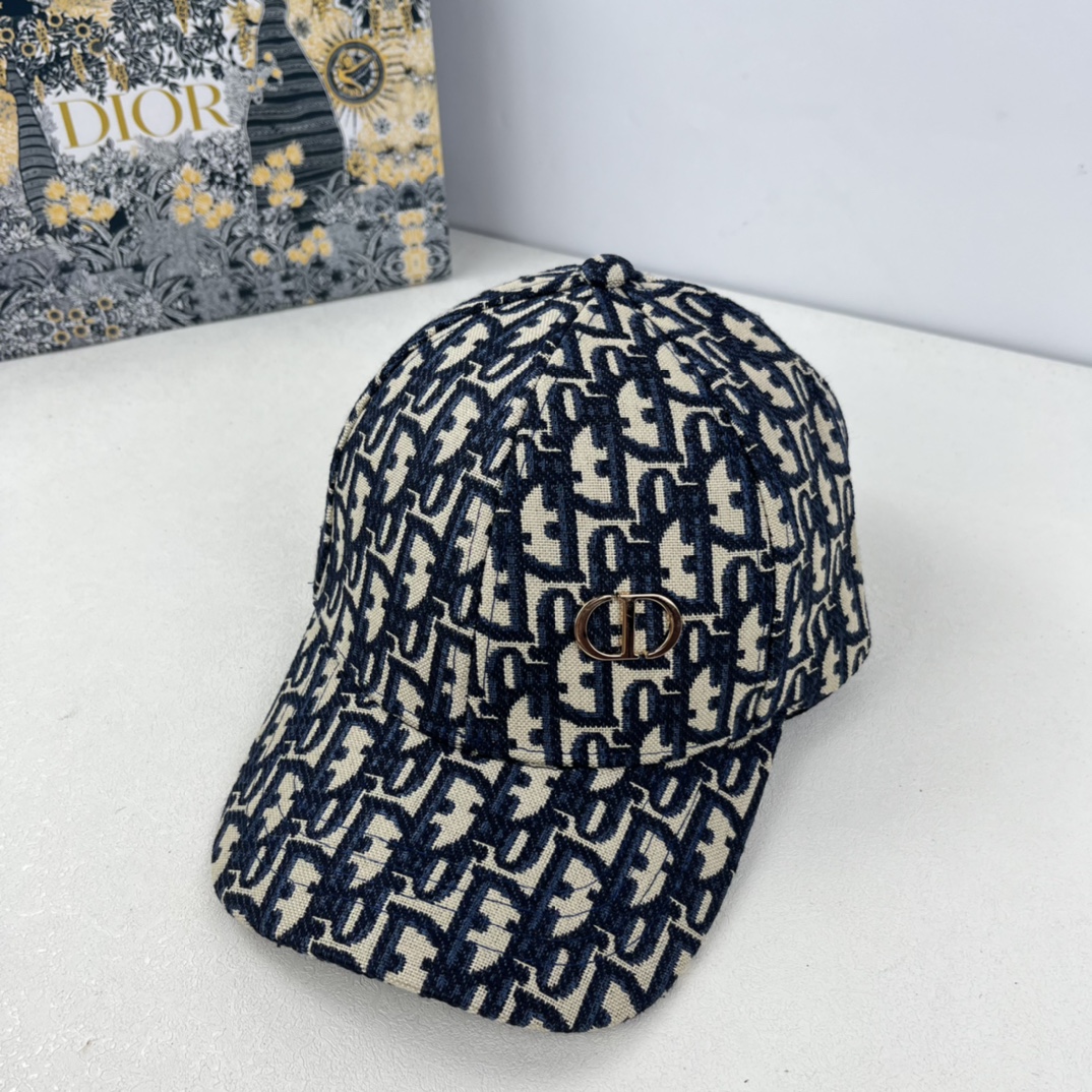 Dior embroidery DD cap