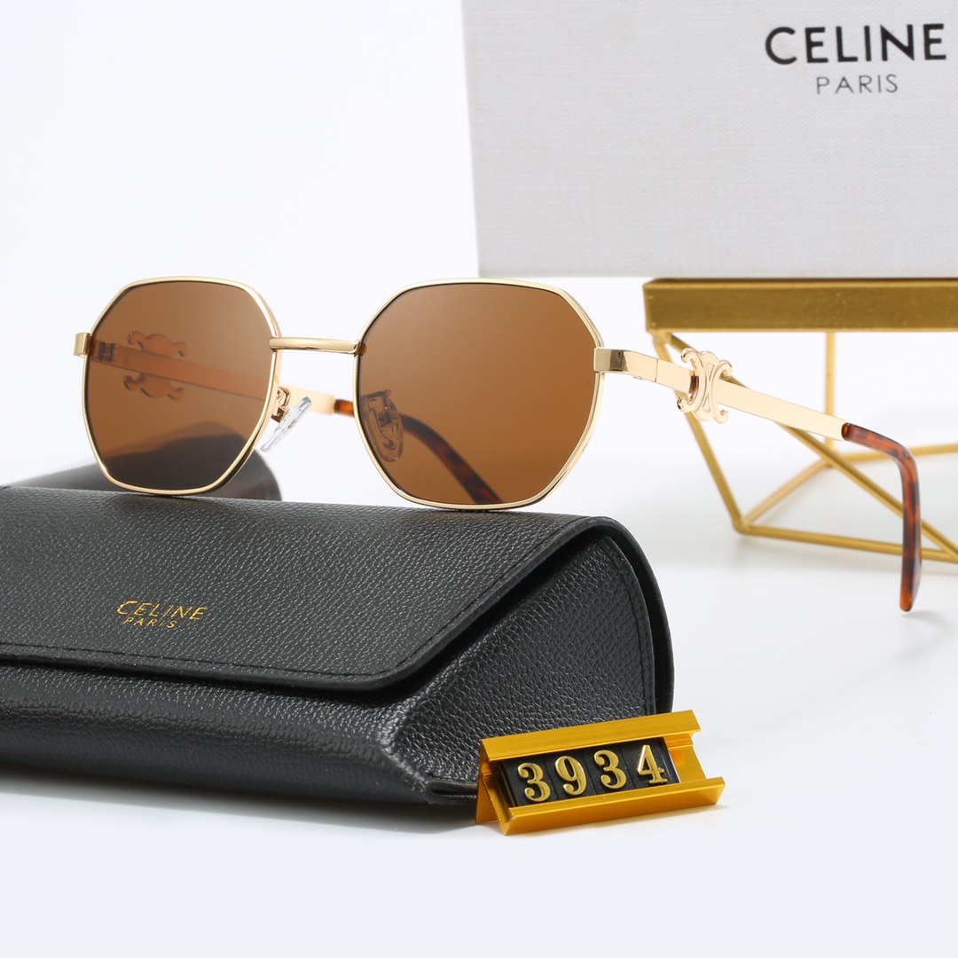 Celine sungalsses 3934