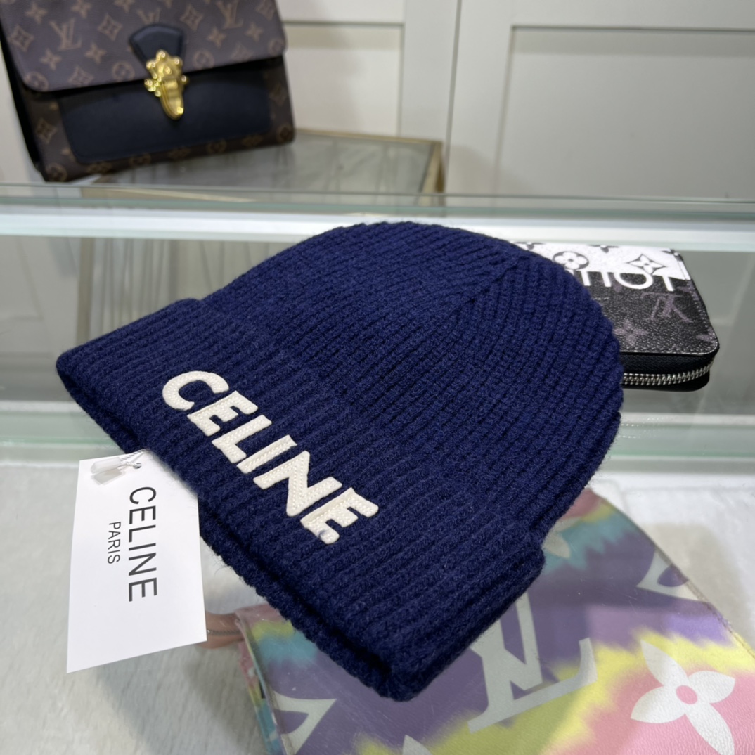 Celine Knitted hat 115182