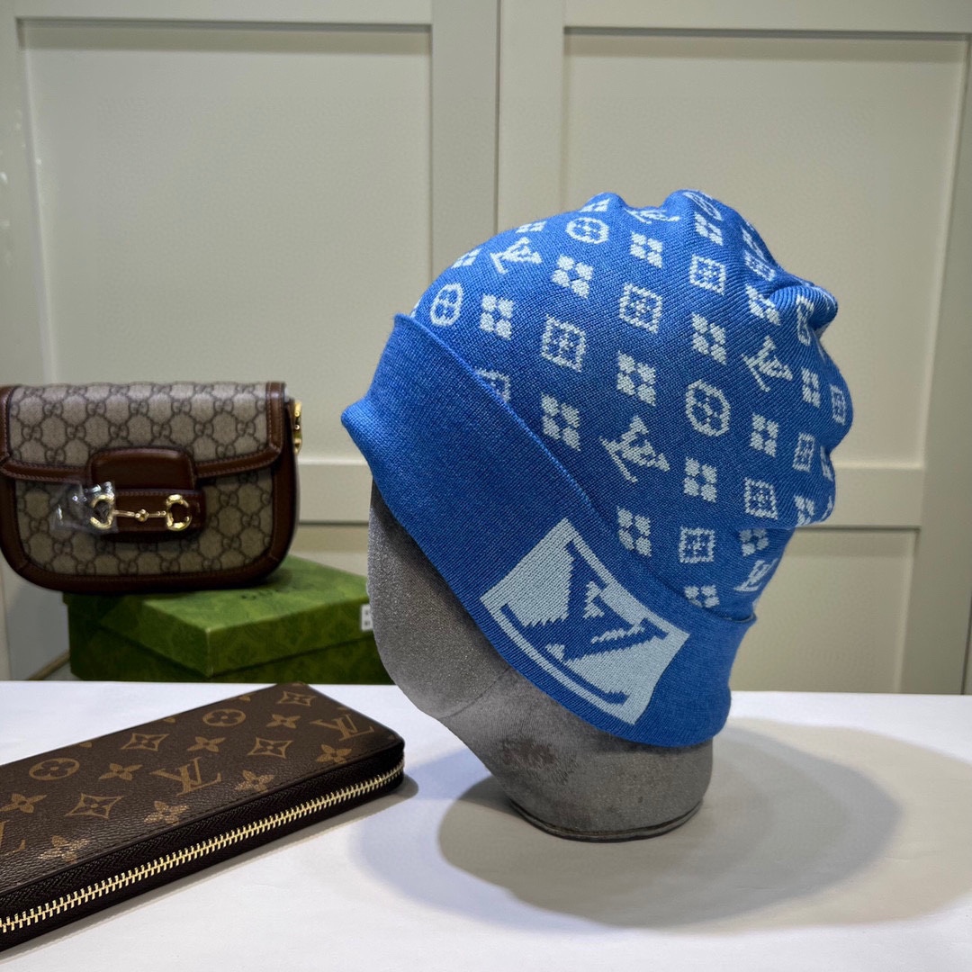 LV Louis vuitton Knitted hat 115169