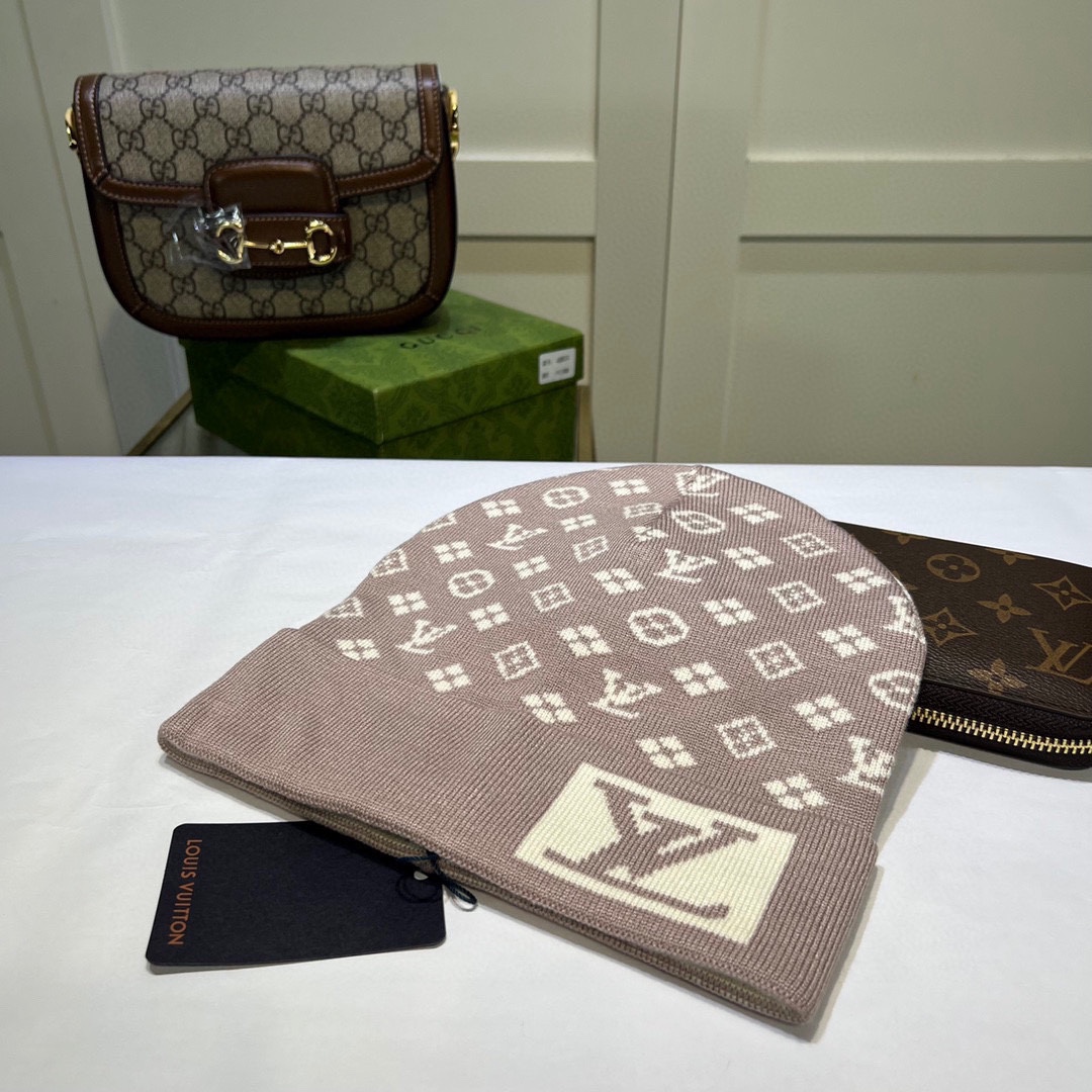 LV Louis vuitton Knitted hat 115169