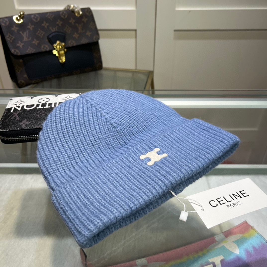 Celine Knitted hat 115163