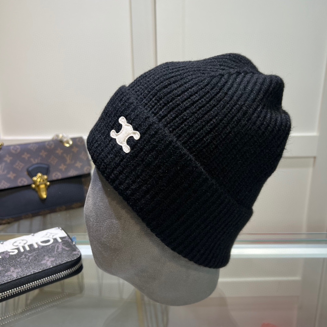 Celine Knitted hat 115163