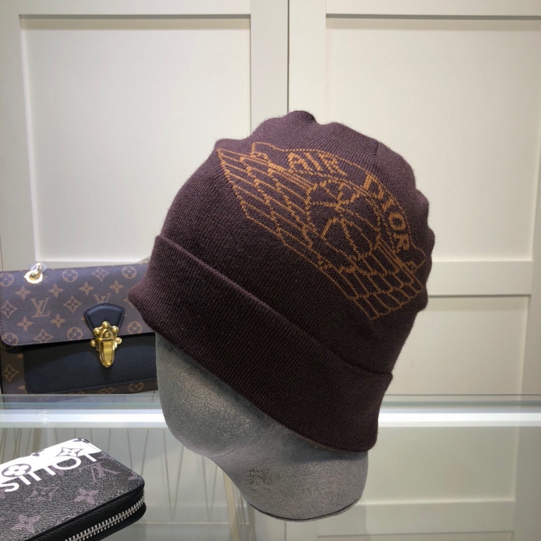 Dior Knitted hat 115161