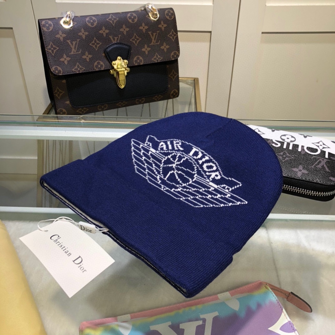 Dior Knitted hat 115161