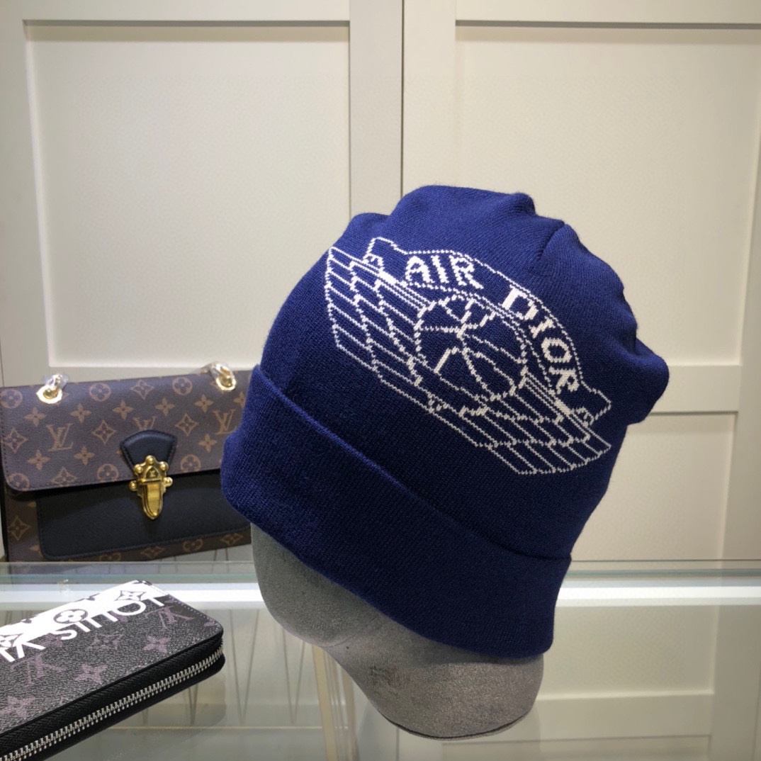 Dior Knitted hat 115161