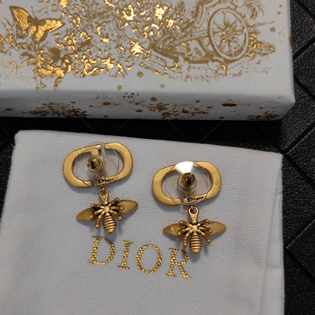 A743 Dior earrings