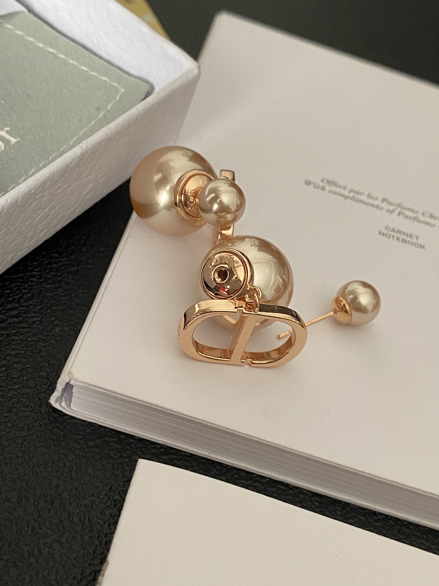 A466 Dior earrings