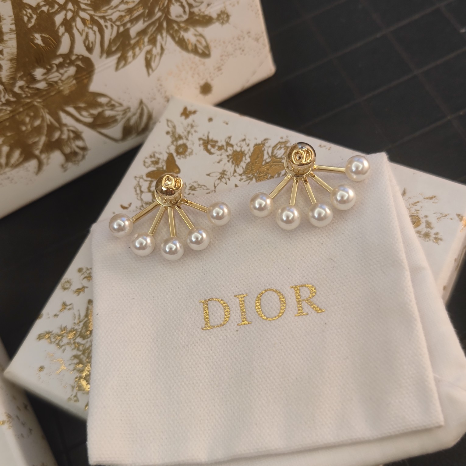 A484 Dior earrings