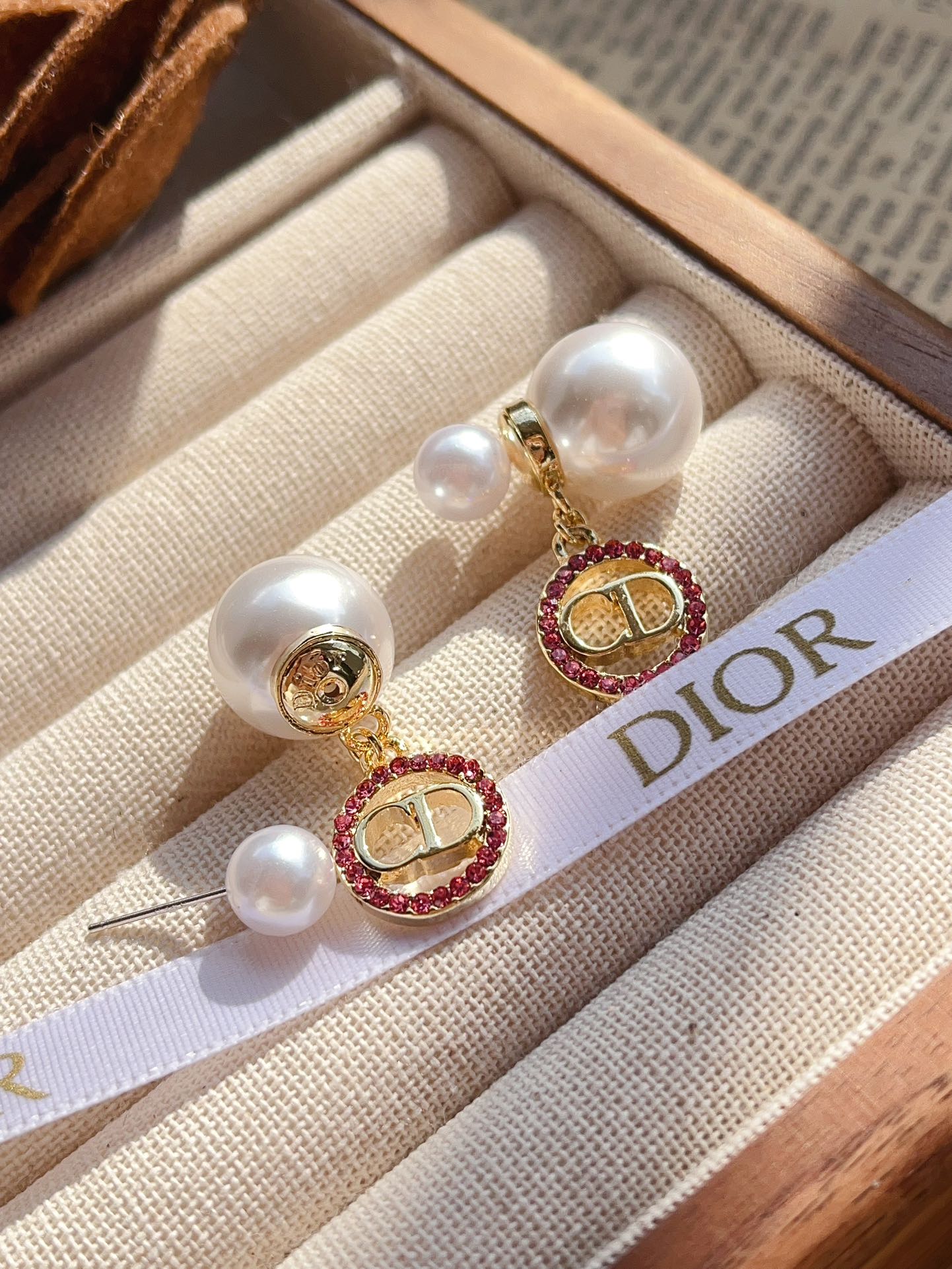 A1070 Dior CD earrings