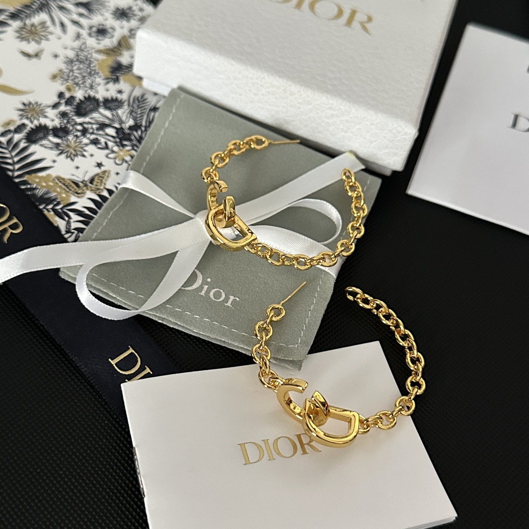 A1604 Dior earrings