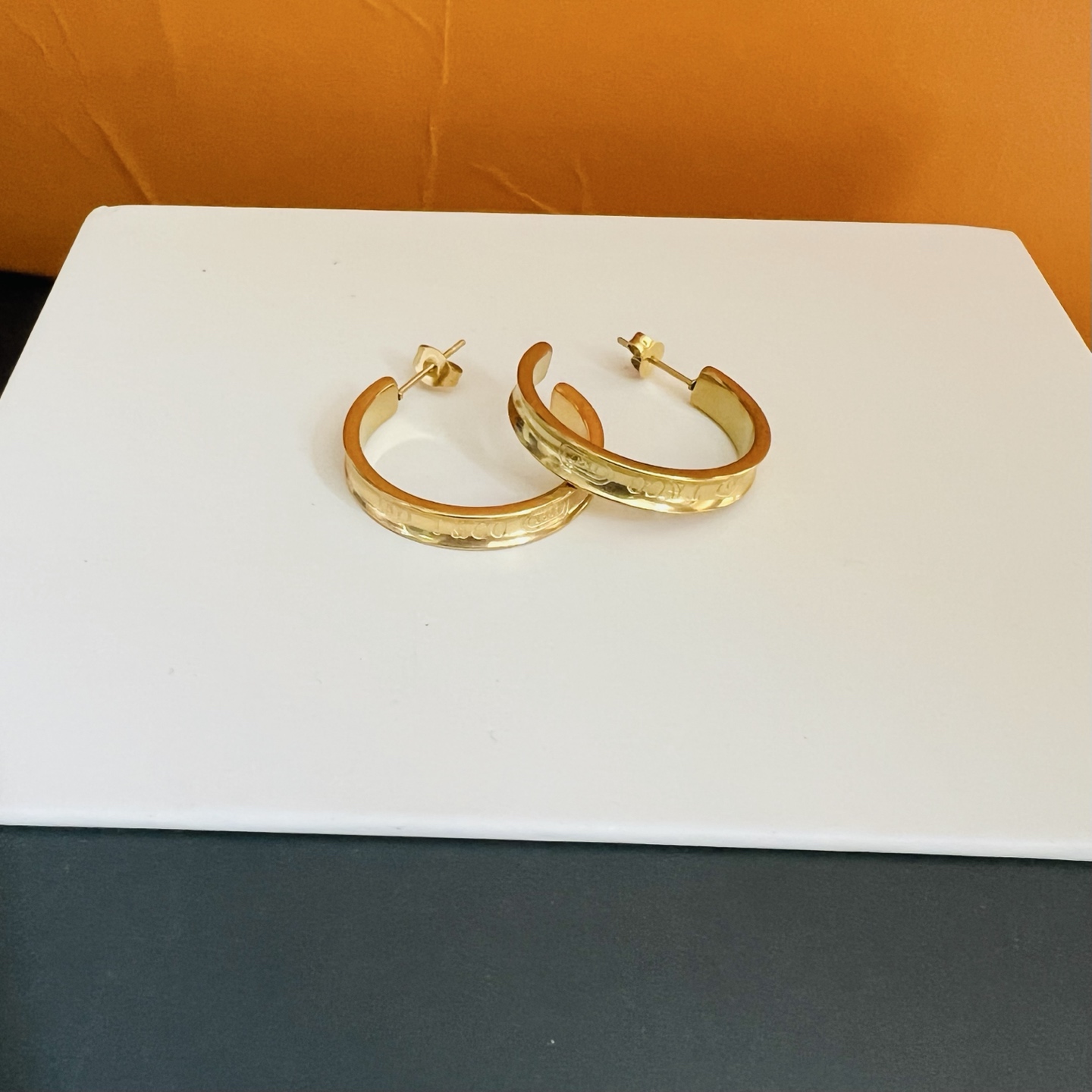 Tiffany co Titanium steel earrings 116423