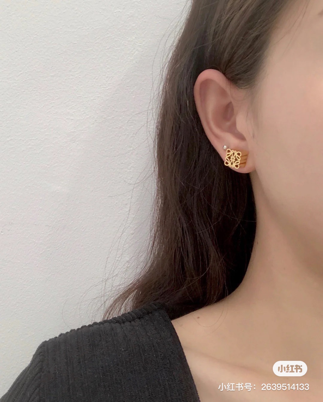 A891 LOEWE earrings